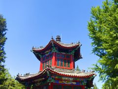 -宣武艺园