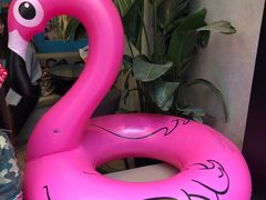 -Flamingo Bloom(TST /尖沙咀店)