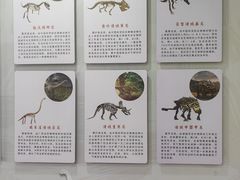 -诸城市恐龙博物馆