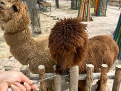 -水上乐园·欢乐世界