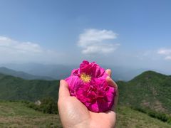 -妙峰山风景名胜区