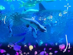 -珠海长隆海洋王国