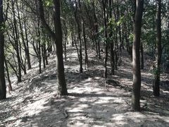 -火炉山森林公园