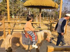 -茅山东方盐湖城景区