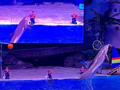 -海合安武汉极地海洋公园