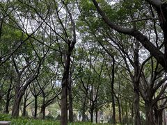 -深圳龙潭公园