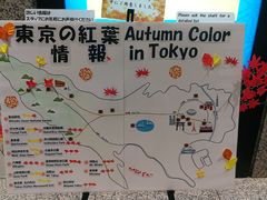 -东京都厅舍