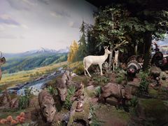 -陕西自然博物馆