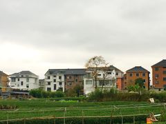 -龙坞茶村