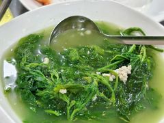 上汤桑叶-东鸽皇(奥园·中环广场店)