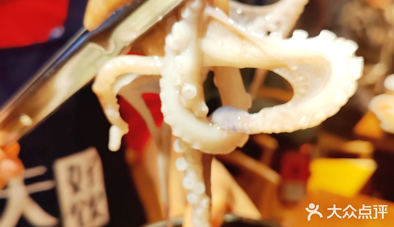 韩国街的魅力，炭烤鳗鱼和活章鱼的绝美之味