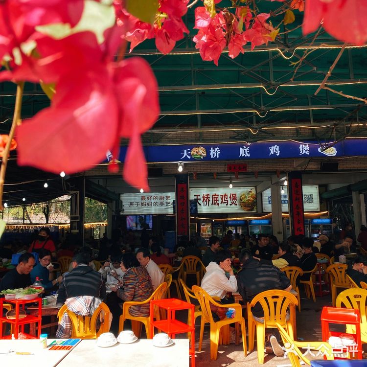 清远热菜榜首位❗️当地人推荐的天桥底餐馆•天桥底鸡煲🐔