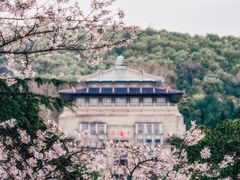 -武汉大学-樱园