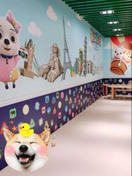 -多多淘儿童体验中心(重庆来福士店)