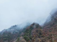 -西宁曹家堡国际机场-T2航站楼