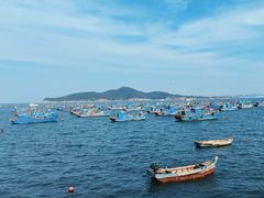 -海源公园