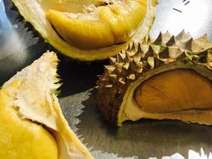 -都念榴莲·城市榴莲