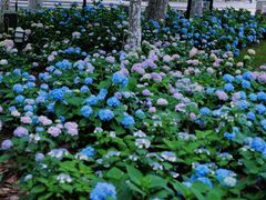 -常州古运河南大街文化旅游区-人民公园