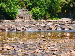 -北仑森林植物园