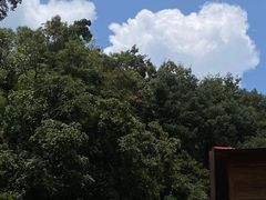 -云涛森林温泉