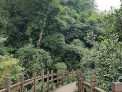 -凤栖山