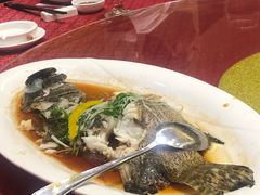 宫廷养生鸭汤-鸿鑫海鲜楼(福辉店)