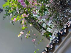 -深圳国际园林花卉博览园