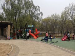 -永定河休闲森林公园