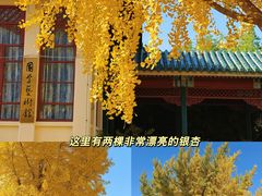 -中国农业博物馆