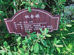 -沙美村
