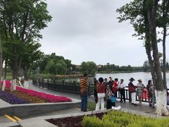 -上海长兴岛郊野公园