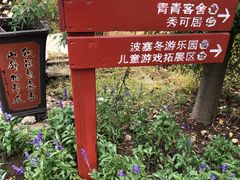 -鹅湖玫瑰文化园