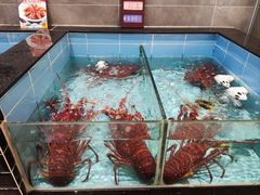 -莞香楼·正宗东莞菜(东升店)