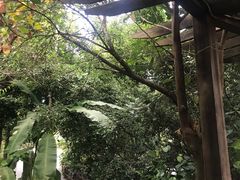 -海南槟榔谷黎苗文化旅游区