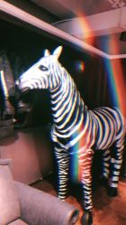 -HMC美容按摩SPA馆