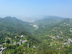-南山植物园