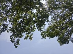 -阳澄湖半岛旅游度假区