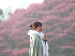 -新建村梅花