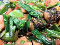 -生态苑农庄(十里画廊遇龙河店)