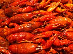 -小杨烤肉·陕西烧烤·陕西地方菜(龙首店)