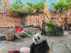 -泉州海丝野生动物世界