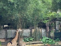 -长鹿旅游休博园