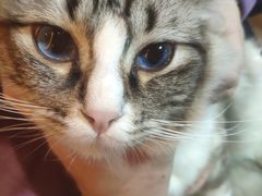 -白兔子密室(长寿路店)