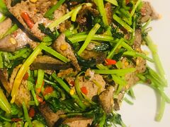 -壹盏灯(惠农店)
