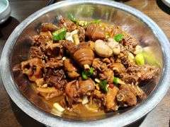 炒鸡-洪沟崖张记炒鸡店(聚才路店)