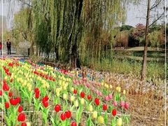 -怡海公园(桂城街道)