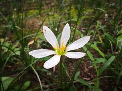 -白鹭湾湿地公园