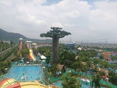 -苏州乐园森林水世界