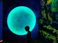 -天津梵高星空艺术馆(天河城旗舰店)