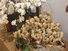 -圆苑(静安寺店)